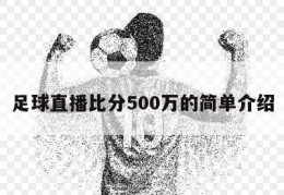 足球直播比分500万的简单介绍