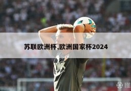 苏联欧洲杯,欧洲国家杯2024