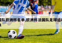 法国队欧洲杯名单,欧洲杯法国队足球运动员名单