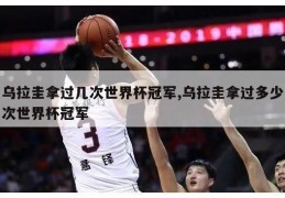 乌拉圭拿过几次世界杯冠军,乌拉圭拿过多少次世界杯冠军