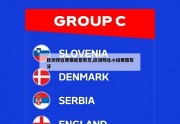 欧洲预选赛赛程葡萄牙,欧洲预选小组赛葡萄牙