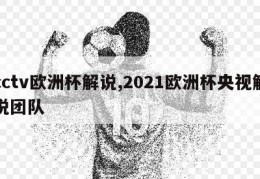 cctv欧洲杯解说,2021欧洲杯央视解说团队