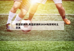 男蓝欧洲杯,男蓝欧洲杯2024匈牙利对土尔其