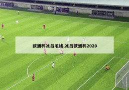 欧洲杯冰岛毛线,冰岛欧洲杯2020